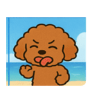海のトイプードル@SFW（個別スタンプ：22）