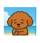 海のトイプードル@SFW（個別スタンプ：23）