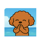 海のトイプードル@SFW（個別スタンプ：25）