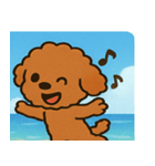 海のトイプードル@SFW（個別スタンプ：28）