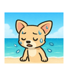 海のチワワ@SFW（個別スタンプ：13）