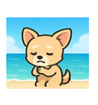 海のチワワ@SFW（個別スタンプ：14）
