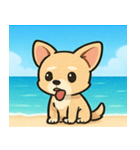 海のチワワ@SFW（個別スタンプ：15）