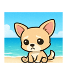 海のチワワ@SFW（個別スタンプ：19）