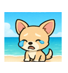 海のチワワ@SFW（個別スタンプ：21）