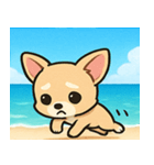 海のチワワ@SFW（個別スタンプ：24）