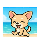 海のチワワ@SFW（個別スタンプ：26）