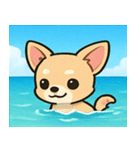 海のチワワ@SFW（個別スタンプ：32）