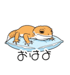 人間みたいな腹黒いレオパ（個別スタンプ：7）