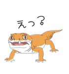 人間みたいな腹黒いレオパ（個別スタンプ：10）