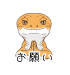 人間みたいな腹黒いレオパ（個別スタンプ：11）