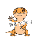 人間みたいな腹黒いレオパ（個別スタンプ：12）