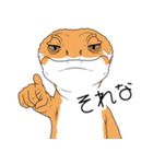 人間みたいな腹黒いレオパ（個別スタンプ：23）