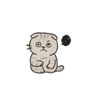 猫のボーちゃん #02（個別スタンプ：5）