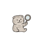 猫のボーちゃん #02（個別スタンプ：17）