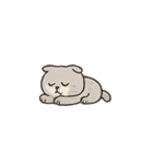 猫のボーちゃん #02（個別スタンプ：23）