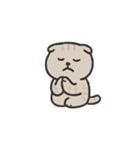 猫のボーちゃん #02（個別スタンプ：40）