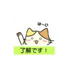 [オリジナル]三毛猫の敬語スタンプ（個別スタンプ：1）