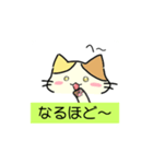 [オリジナル]三毛猫の敬語スタンプ（個別スタンプ：4）