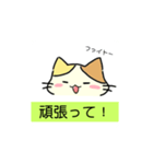 [オリジナル]三毛猫の敬語スタンプ（個別スタンプ：16）