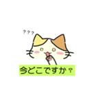 [オリジナル]三毛猫の敬語スタンプ（個別スタンプ：23）