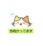 [オリジナル]三毛猫の敬語スタンプ（個別スタンプ：24）