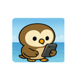 海のフクロウ@SFW（個別スタンプ：5）