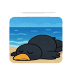 海のカラス@SFW（個別スタンプ：5）