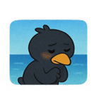 海のカラス@SFW（個別スタンプ：30）