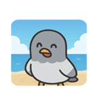 海のハト@SFW（個別スタンプ：1）