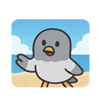 海のハト@SFW（個別スタンプ：5）