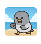 海のハト@SFW（個別スタンプ：13）