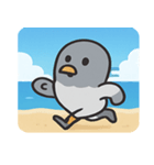 海のハト@SFW（個別スタンプ：29）