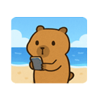 海のカピバラ2@SFW（個別スタンプ：13）