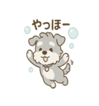 あわシュナ そっと気づかいスタンプ（個別スタンプ：1）