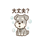 あわシュナ そっと気づかいスタンプ（個別スタンプ：2）