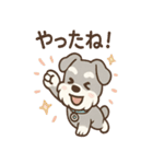 あわシュナ そっと気づかいスタンプ（個別スタンプ：3）