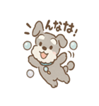 あわシュナ そっと気づかいスタンプ（個別スタンプ：5）