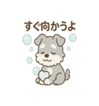 あわシュナ そっと気づかいスタンプ（個別スタンプ：12）