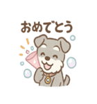 あわシュナ そっと気づかいスタンプ（個別スタンプ：15）