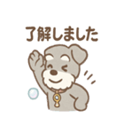 あわシュナ そっと気づかいスタンプ（個別スタンプ：16）