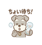 あわシュナ そっと気づかいスタンプ（個別スタンプ：17）