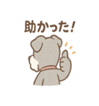 あわシュナ そっと気づかいスタンプ（個別スタンプ：19）