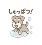 あわシュナ そっと気づかいスタンプ（個別スタンプ：20）