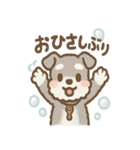 あわシュナ そっと気づかいスタンプ（個別スタンプ：21）