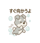 あわシュナ そっと気づかいスタンプ（個別スタンプ：23）