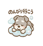あわシュナ そっと気づかいスタンプ（個別スタンプ：29）