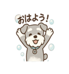 あわシュナ そっと気づかいスタンプ（個別スタンプ：36）