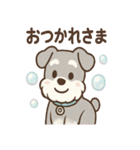 あわシュナ そっと気づかいスタンプ（個別スタンプ：37）