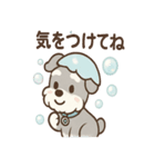 あわシュナ そっと気づかいスタンプ（個別スタンプ：40）